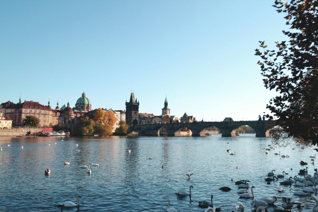 pexels-photo-2082104-2082104 Charles Bridge and swans on Vltava River, Prague. A picturesque travel destination in Czechia.
